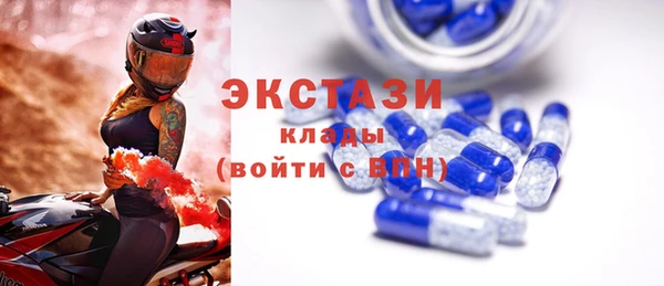 гашик Краснослободск