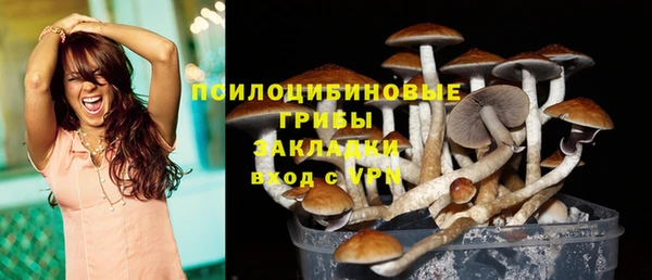гашик Краснослободск