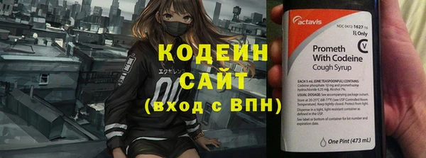 гашик Краснослободск