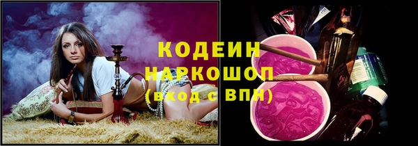 гашик Краснослободск