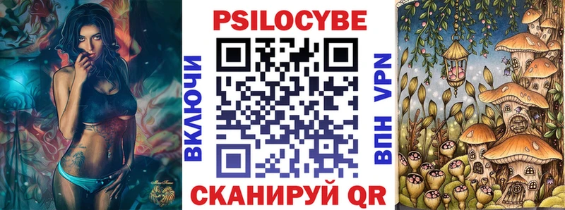 darknet клад  Краснокамск  Галлюциногенные грибы Psilocybe 