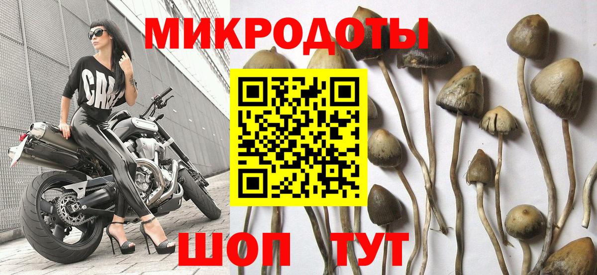 Краснокамск  Псилоцибиновые грибы Magic Shrooms  Вход с VPN 
